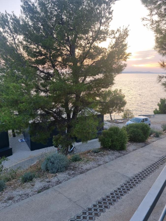 Hipo Camp Mobil Home Arta باكوشتاني المظهر الخارجي الصورة